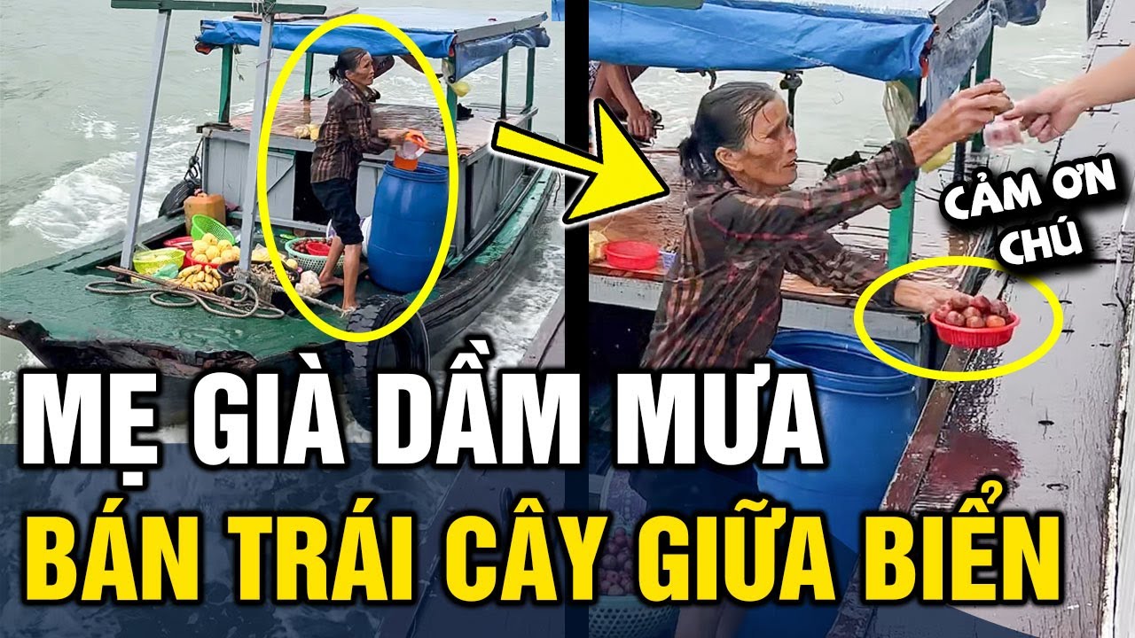 Người phụ nữ lớn tuổi 'DẦM MƯA' giữa biển 'KIẾM TỪNG ĐỒNG' mưu sinh gây xúc động | Tin 3 Phút