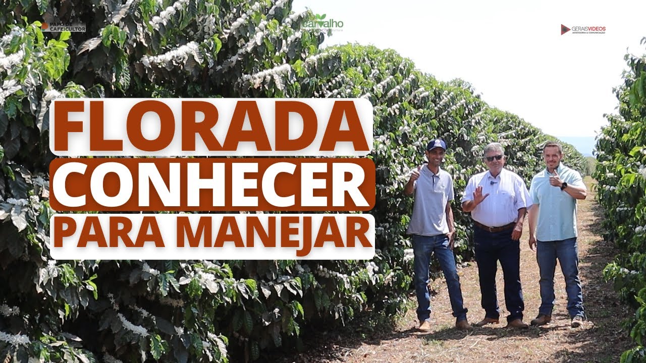 Florada, conhecer para manejar
