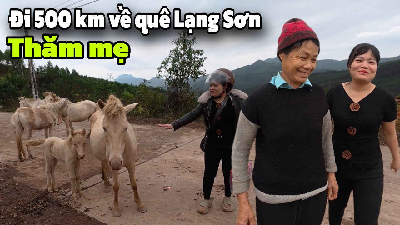 CON GÁI ĐI LẤY CHỒNG XA VƯỢT 500 KM VỀ THĂM MẸ QUÊ LẠNG SƠN