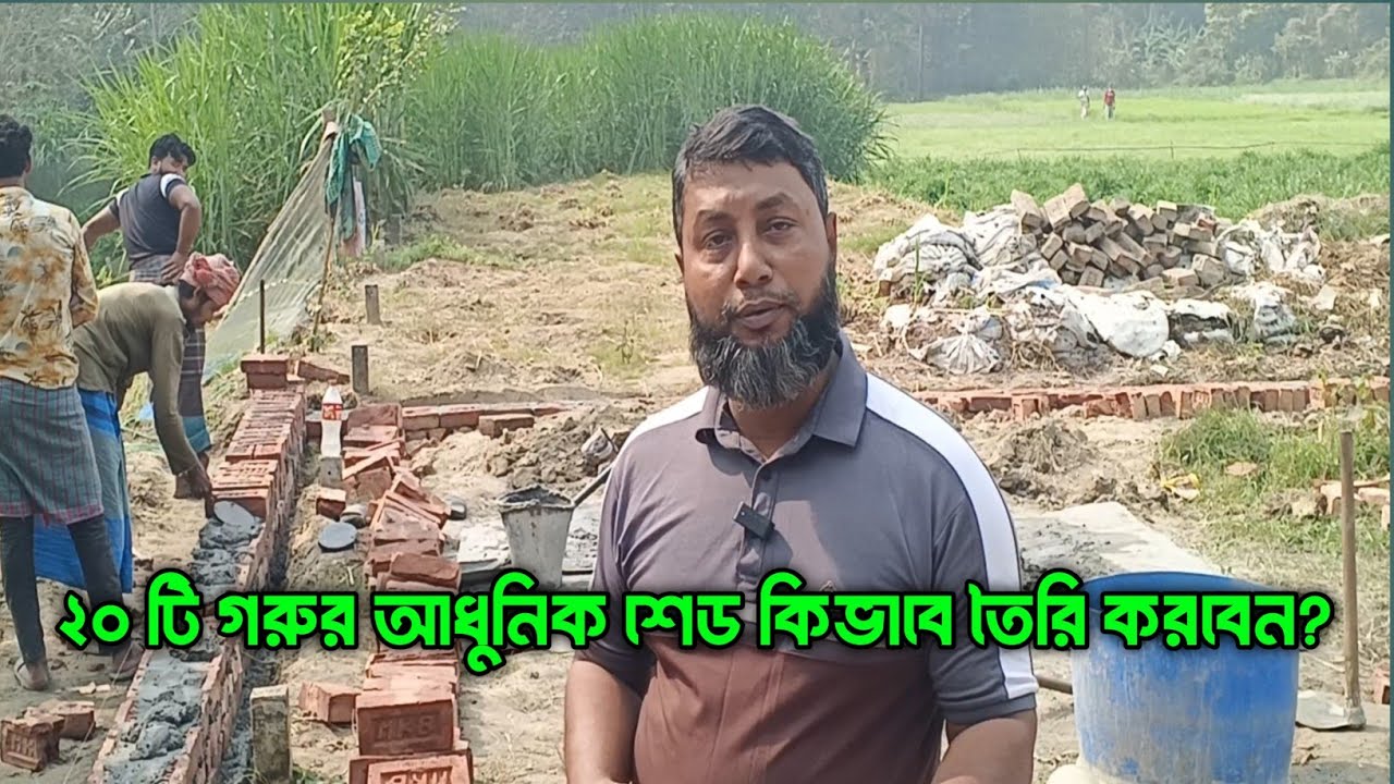 ২০ টি গরুর আধুনিক শেড কিভাবে তৈরি করবেন? 😱🐄