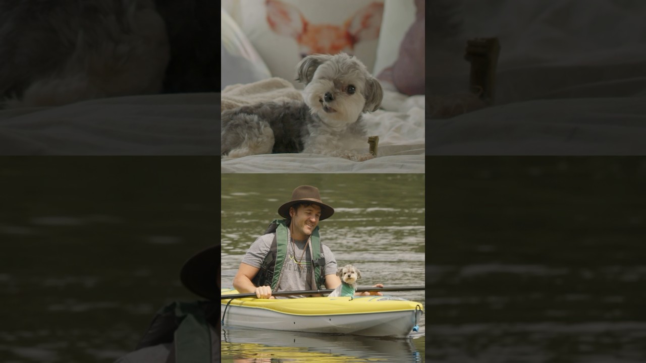 Rosie was born to be a superstar. Watch the best dog actor ever in Dogs on the Sendero, on Amazon.￼
