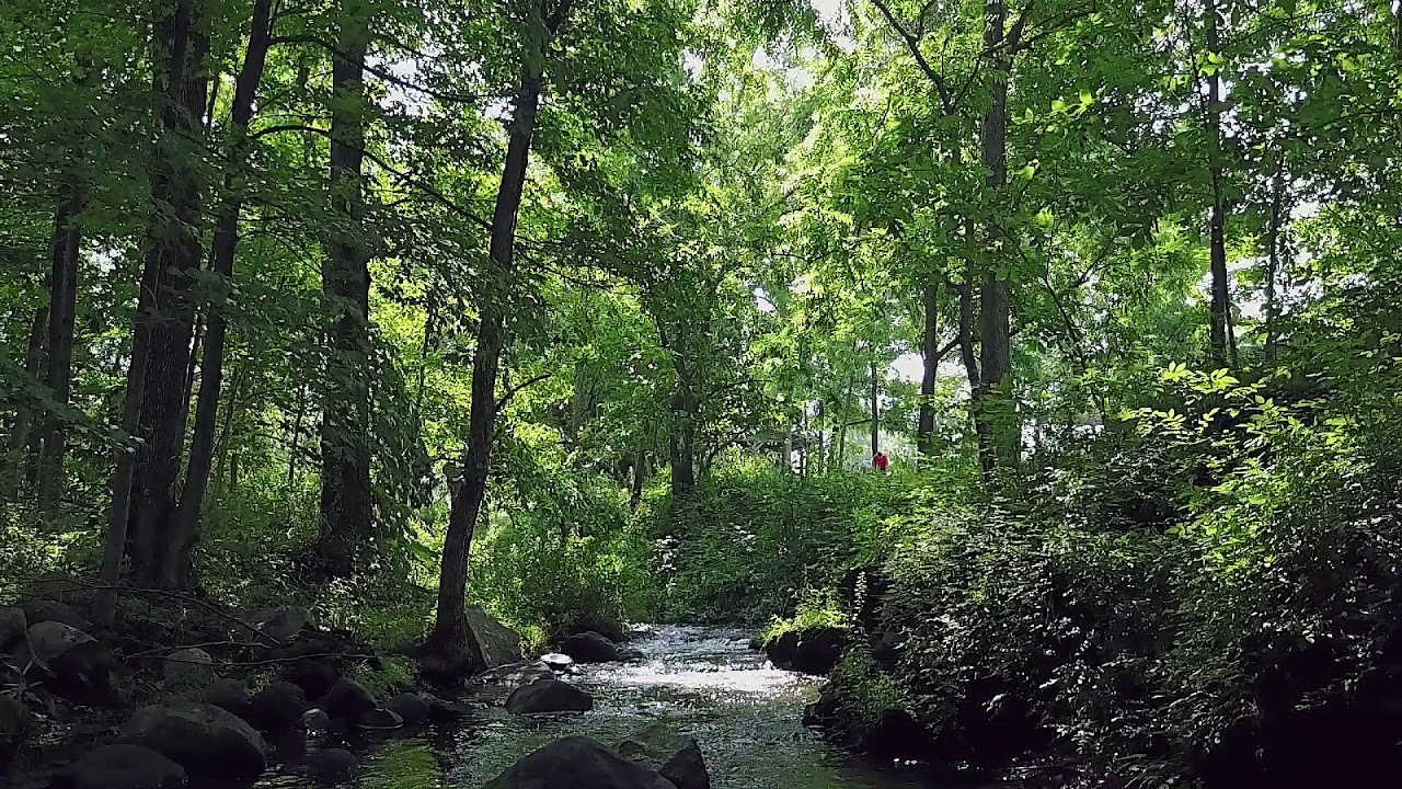 Krishna Govinda Gopala chanting - Shanti Mandir Ashram Magod, India