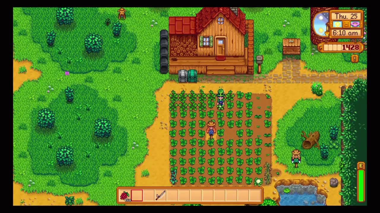 Stardew valley beginner P3