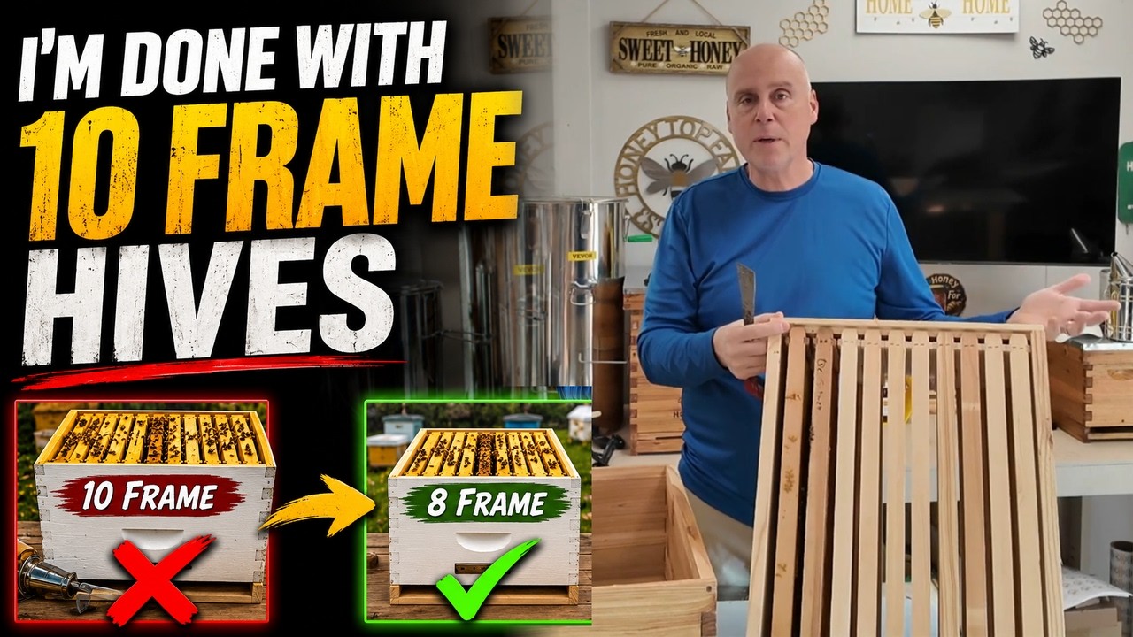 Why I Switched ALL My Hives From 10 Frame to 8 Frame and Never Looked Back!  | Beginning Beekeeping