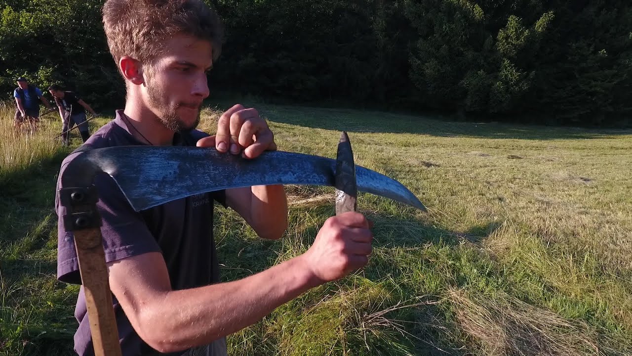 Ročna ko&scaron;nja in zdevanje ostrnic / Mowing hay with  scythe