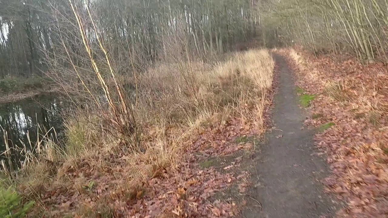 Trailrun 9KM Sellingen