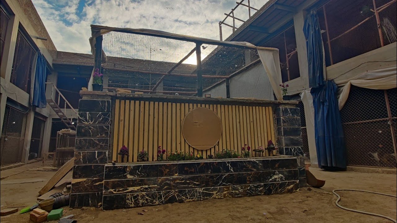 Peacock Cage | Total Cost and Materials Used | DIY | PEACOCK VILLA