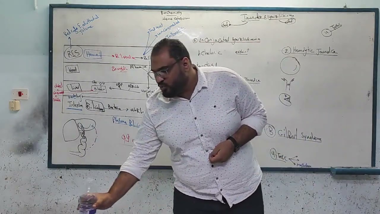25- Heme catabolism - Biochemistry - faculty of dentistry