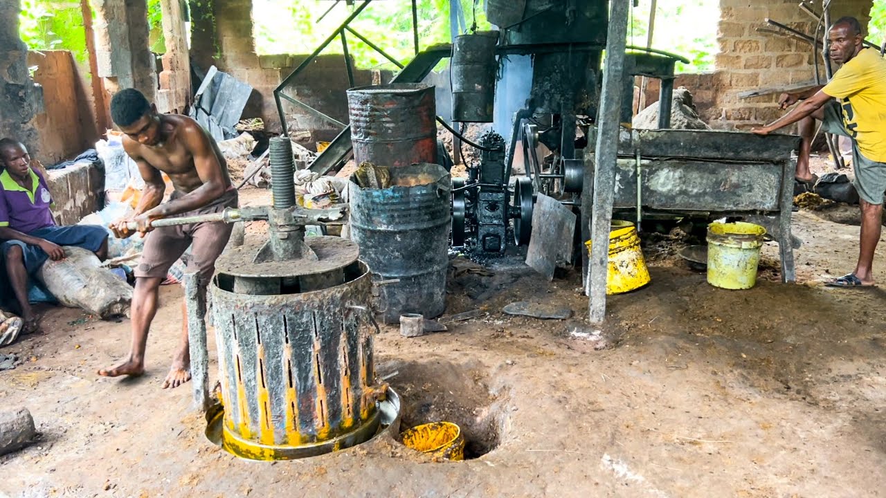 How to make palm oil - Palm oil processing factory in imo state - Imo state vlog Ep12