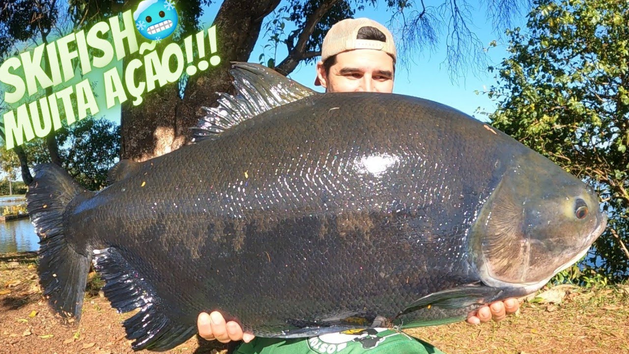 INVERNO COM MUITA AÇÃO!!! Pesqueiro Skifish Tarumã/SP