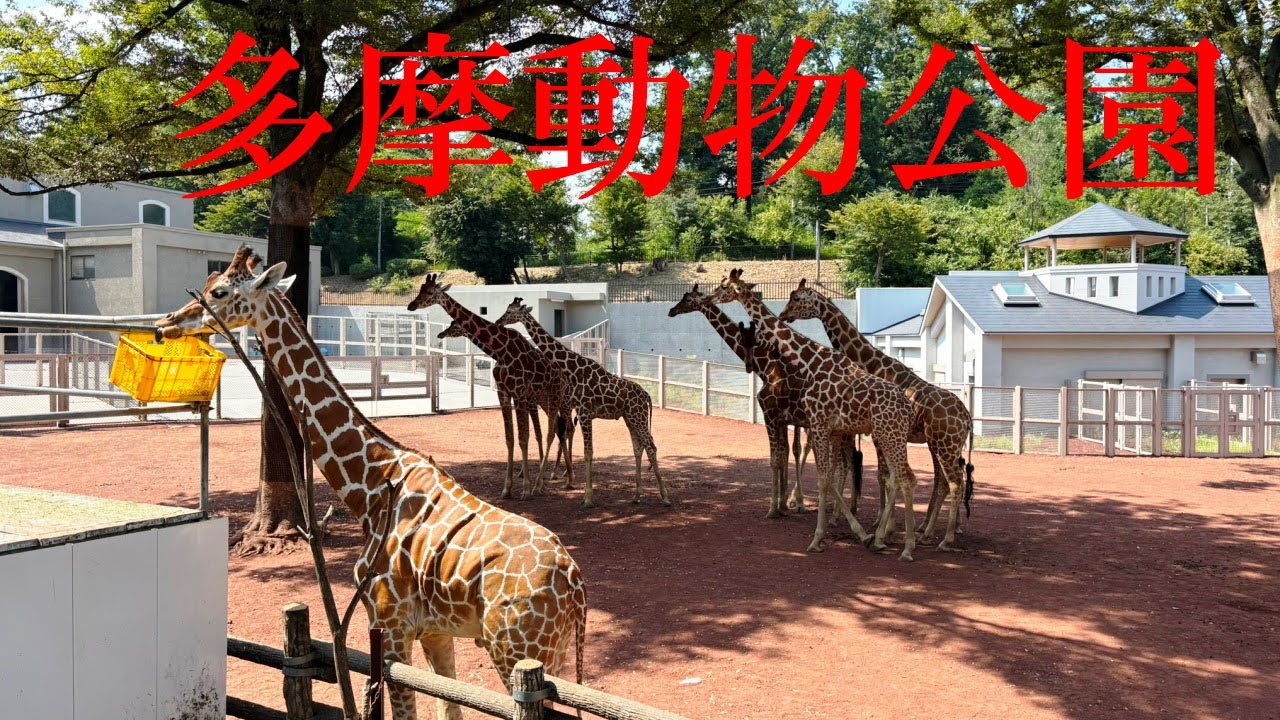 多摩動物公園　～猛暑で動物もダウン