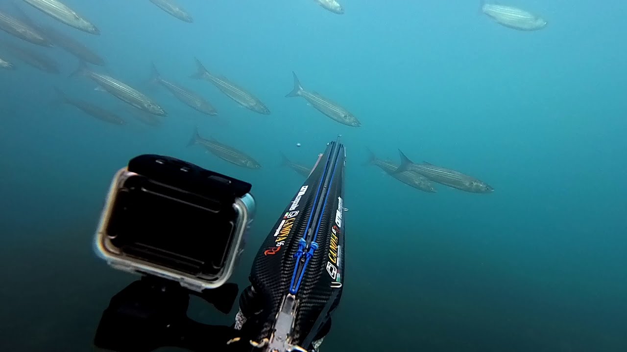 pesca sub: novembre 2025