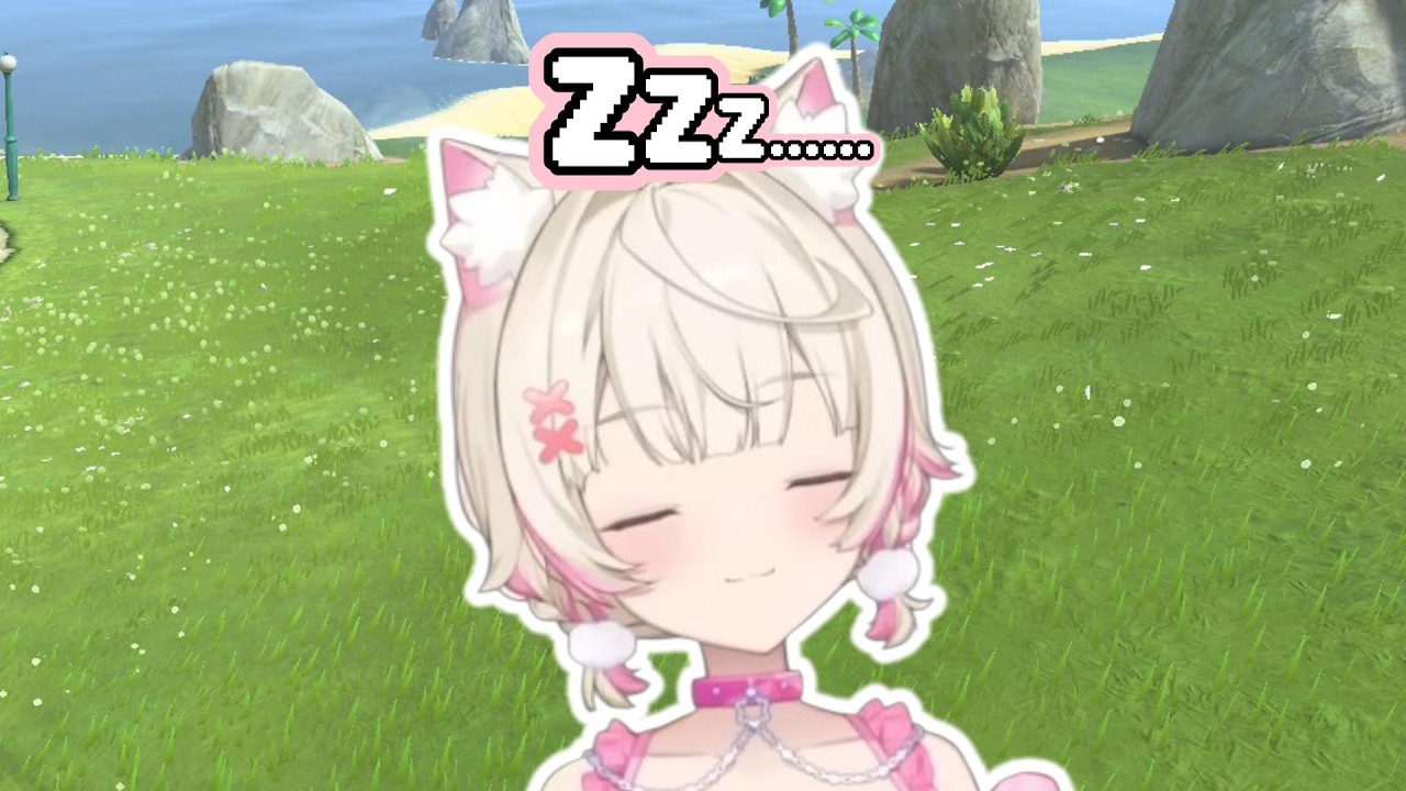 잠VS모코코