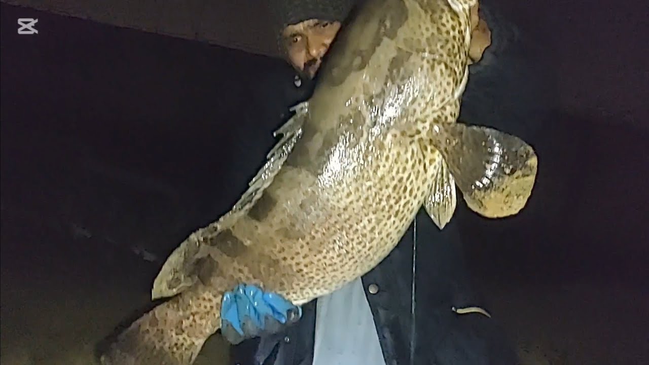 8.kg gissar do Darya Kinare Shikar# Qasimfishngfun