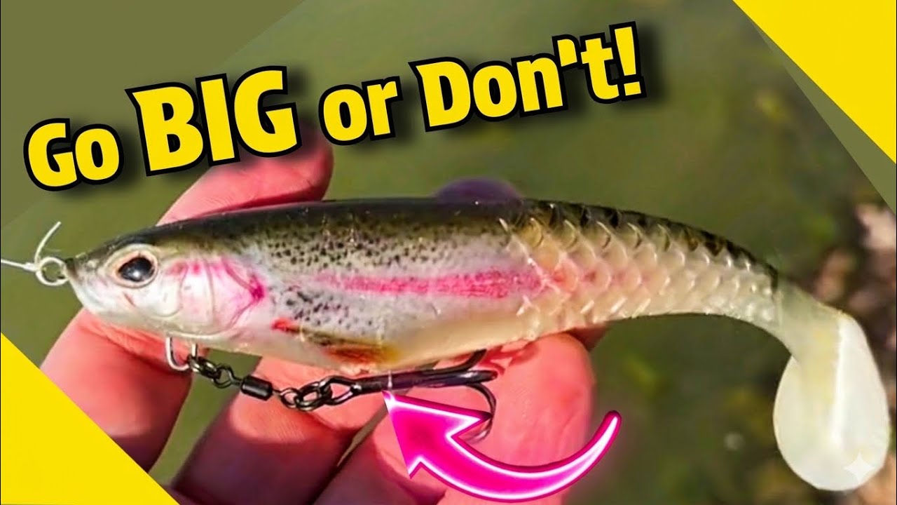 The Berkley CullShad is a Pond Fishing CHEAT CODE 🔥 💯 