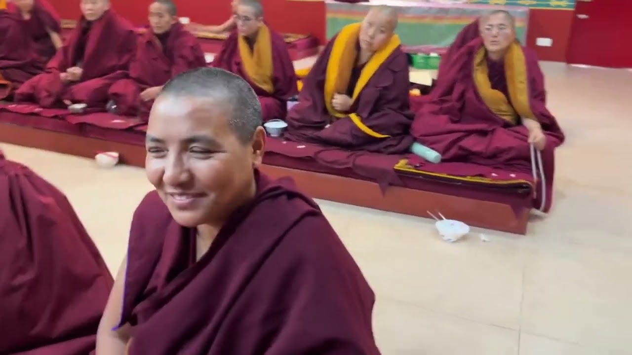 ཨ་ནེ་འདི་ཚོ་ལ་གཟིགས་དང་ཧ་ལས་པ་རེད།
