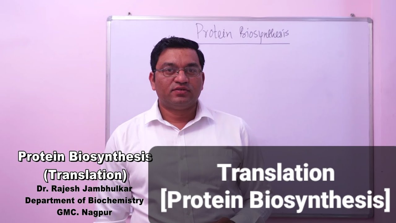 Protein Biosynthesis [Translation -HDR QUALITY ]