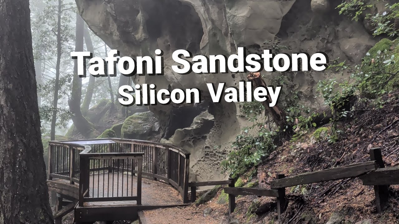 Tafoni Sandstone Formation at El Corte Madera Open Space Preserve - Simply Good Nature