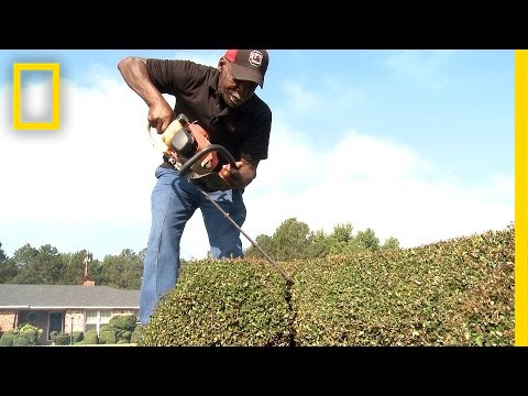 See What This Man Can Create From a Bush | National Geographic