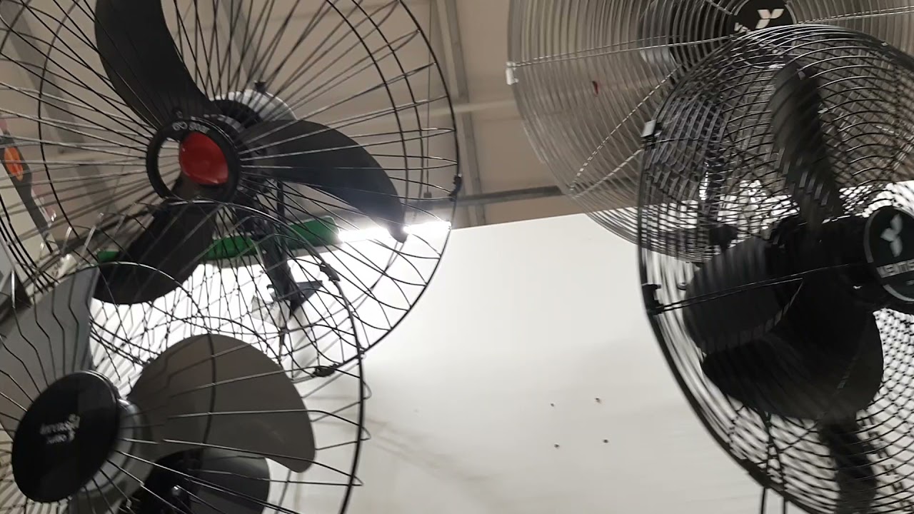Testando ventiladores de parede na Leroy Merlin