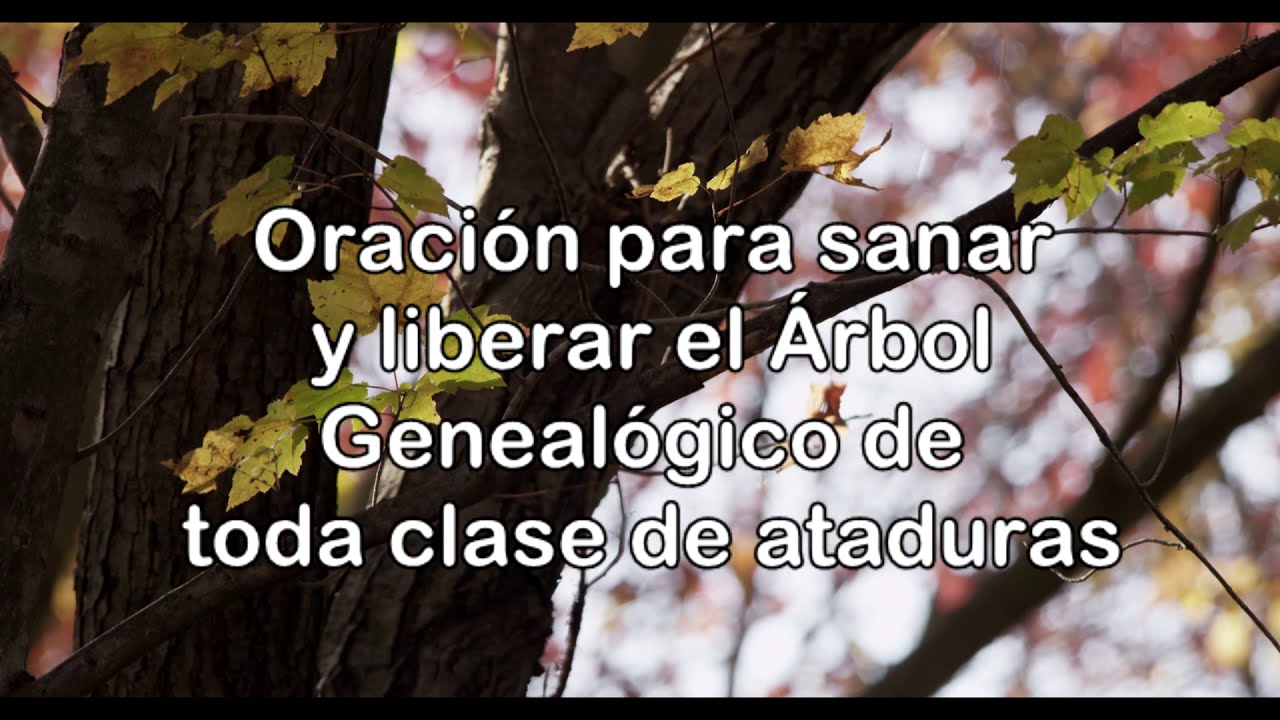 ORACION PARA SANAR Y LIBERAR EL ÁRBOL GENEALOGICO DE TODA CLASE DE ATADURAS