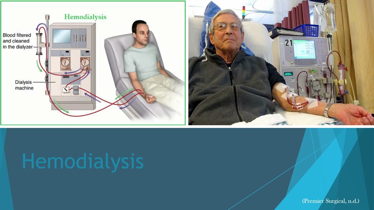 Dialysis Modalities in the Era of Rising CKD: Preparing PA Students for Clinical Practice