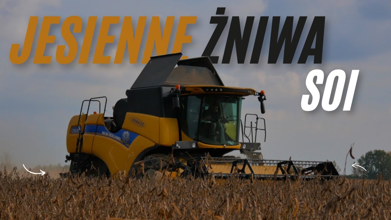 ✓ Żniwa Soi 2025 ✓ | Jesienne Żniwa Na Podkarpaciu! | New Holland CX6.80 W Akcji! |
