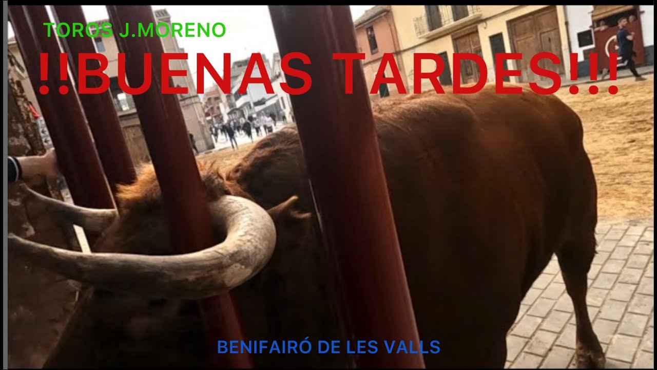 TOROS BENIFAIRO DE LES VALLS 2024