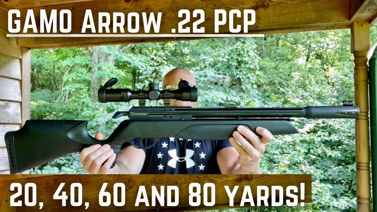 Gamo Arrow .22 Время для стрельбы! Стальной звон на расстоянии до 80 ярдов.