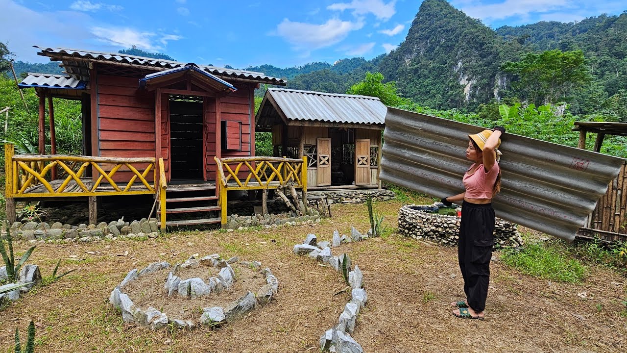 Female CEO leaves the city for the forest. Renovates an old house, finds freedom in nature