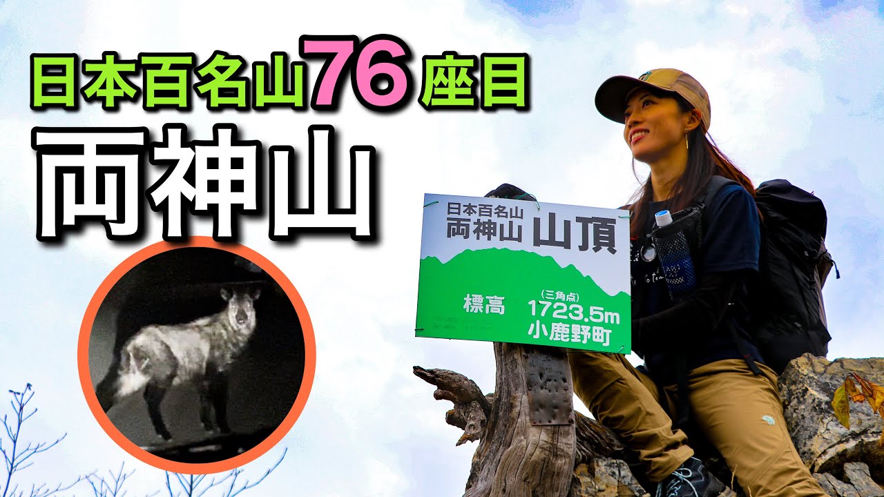【日帰り登山】黄葉とカモシカ！日本百名山76座目！両神山