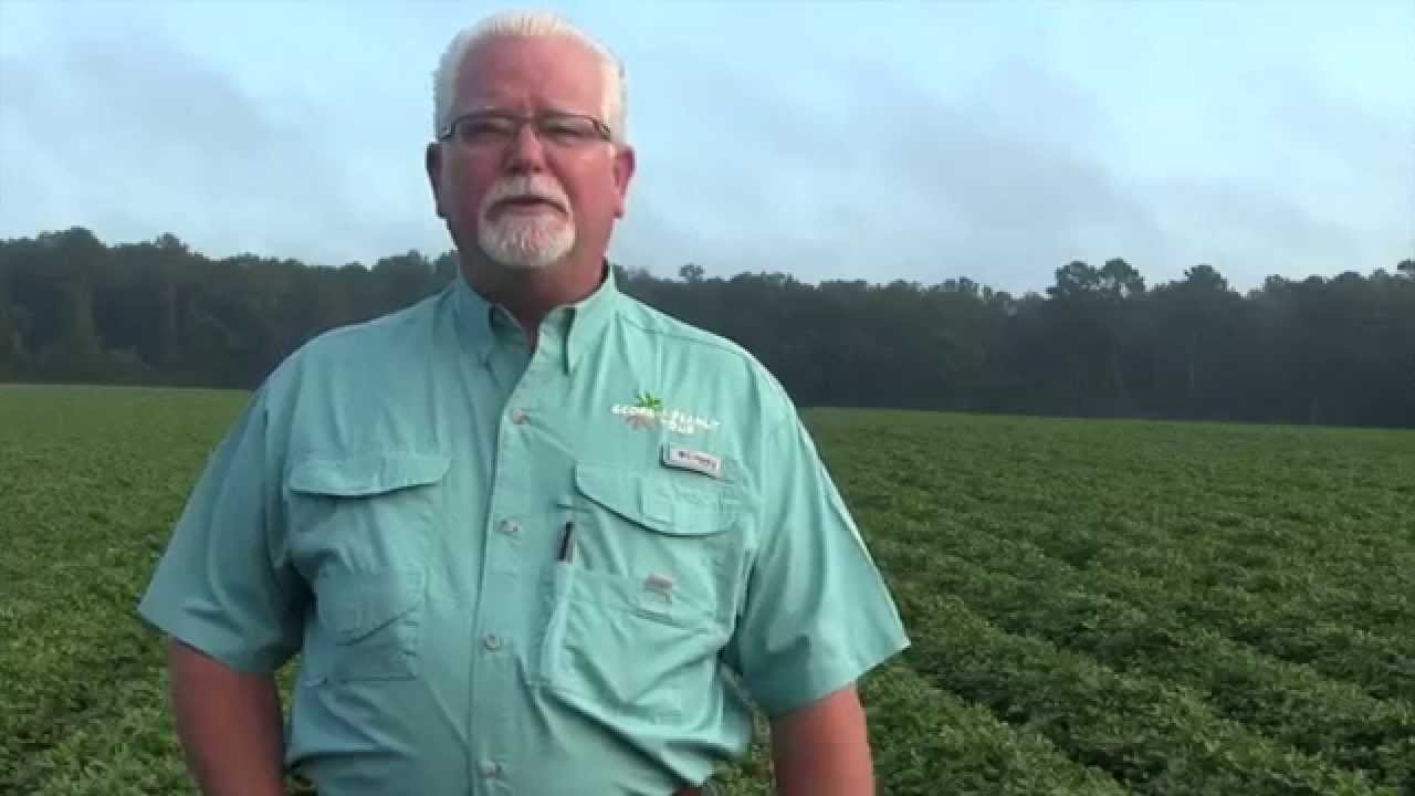 John Harrell video