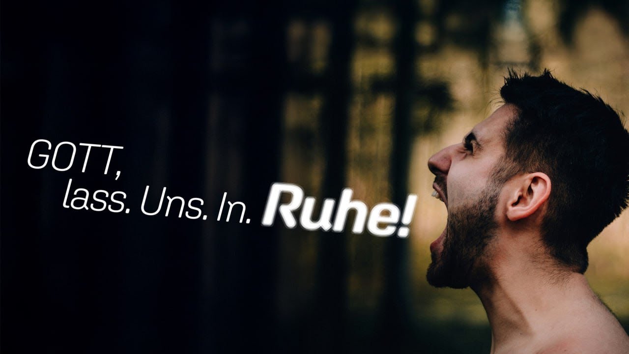 DEUTSCHLAND und die WELT im FREIEN FALL | Mirko Krüger