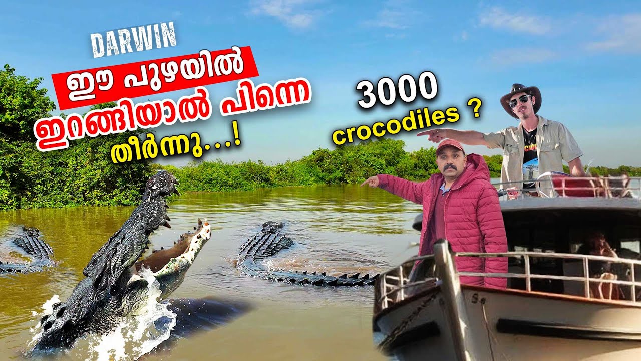 ഇത് മുതലയുടെ ലോകം  ഇവിടെ പെട്ടാൽ പെട്ടു  |Adelaide River Croc Cruises #australia #travel #malayalam