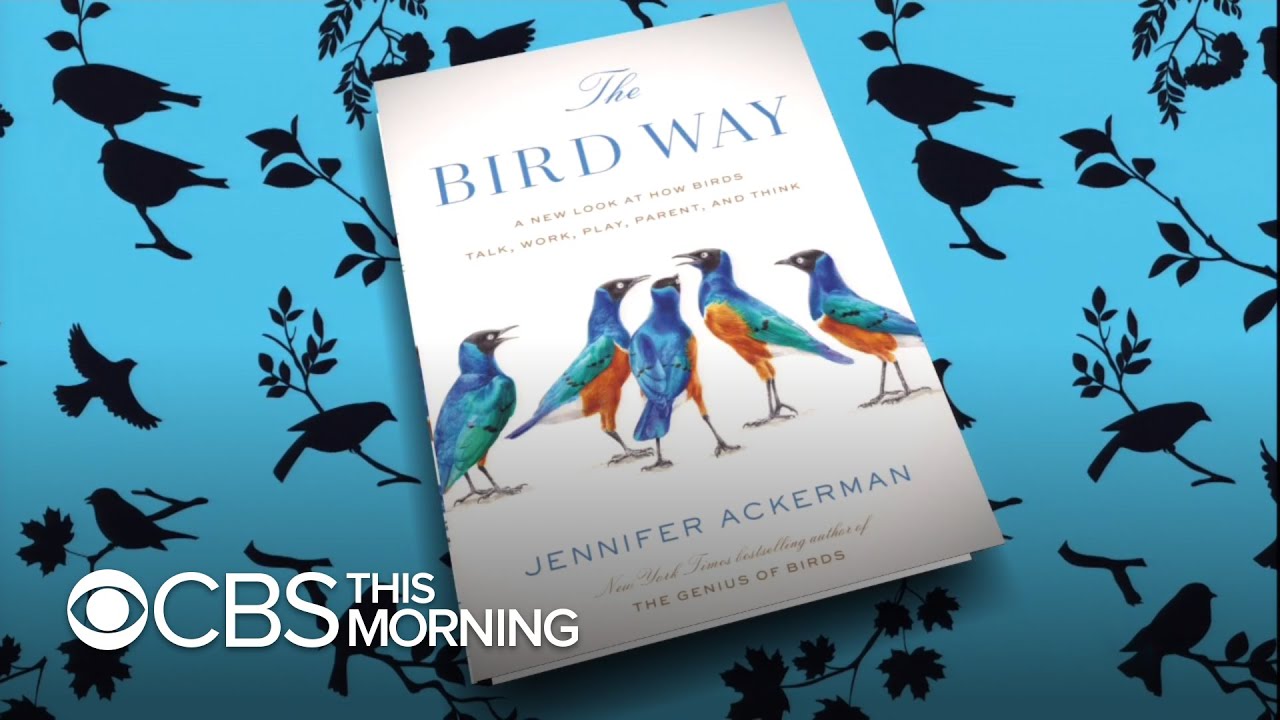 Conserving North America's bird populations