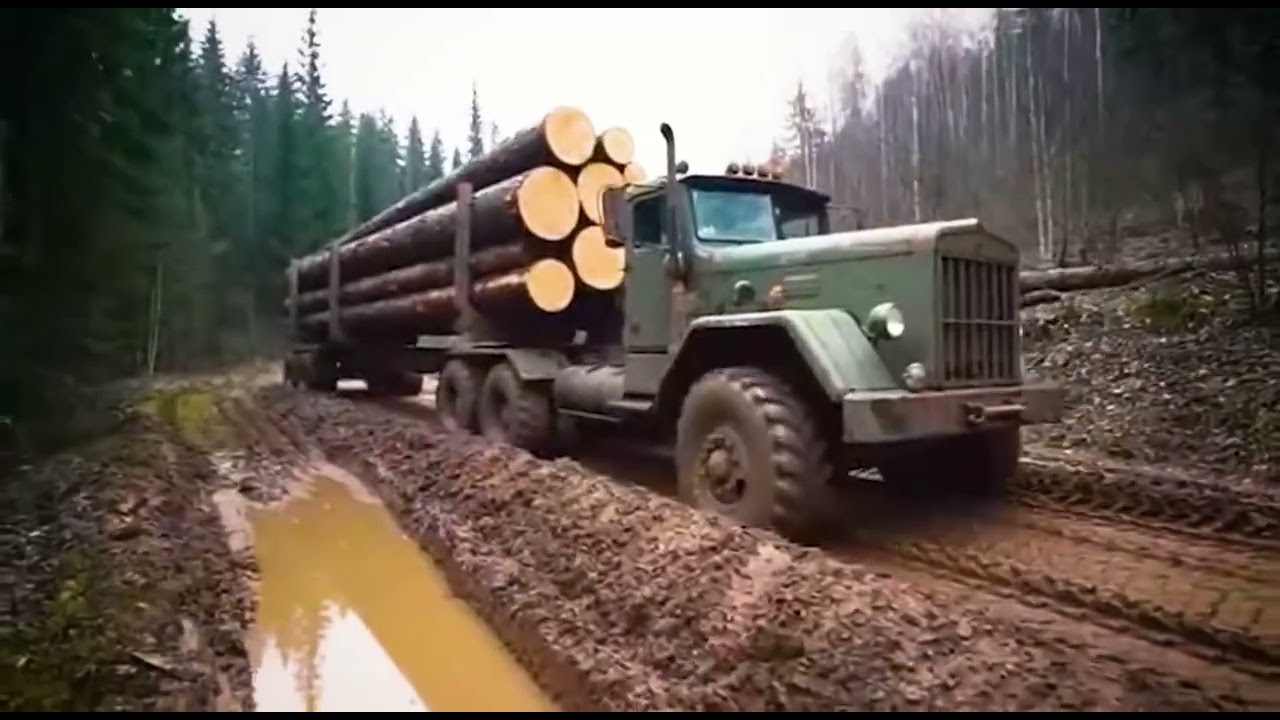 #Extreme Powerful Truck Logging Off-Road | Truck vs Forest Terrain Timber Hauling Test