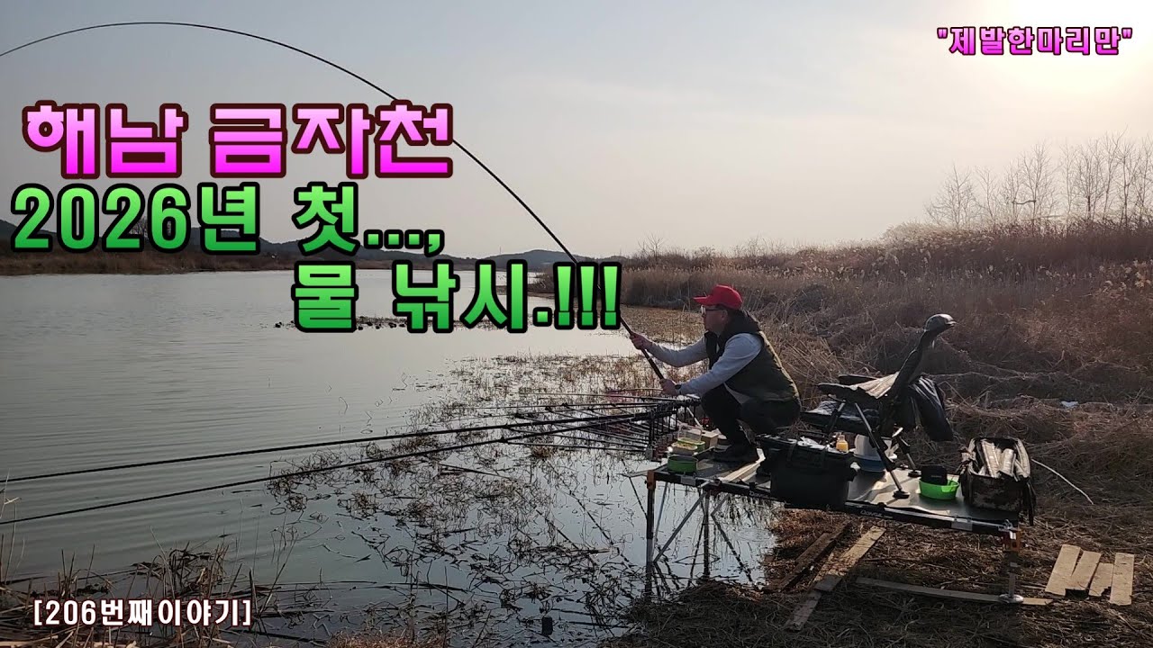 해남 금자천 - 2026년 첫..., 물 낚시.!!![206번째 이야기]