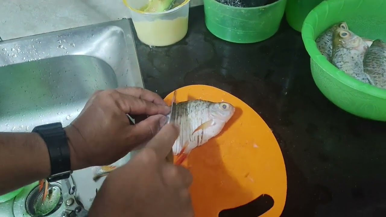 Pulai kerja alu ngintu ikan lauk kami sebilik 