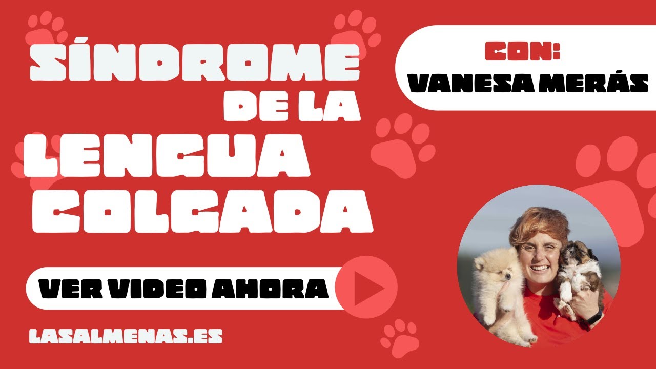 ¿Qué es el síndrome de la lengua colgada? 👅 | Centro Canino Las Almenas