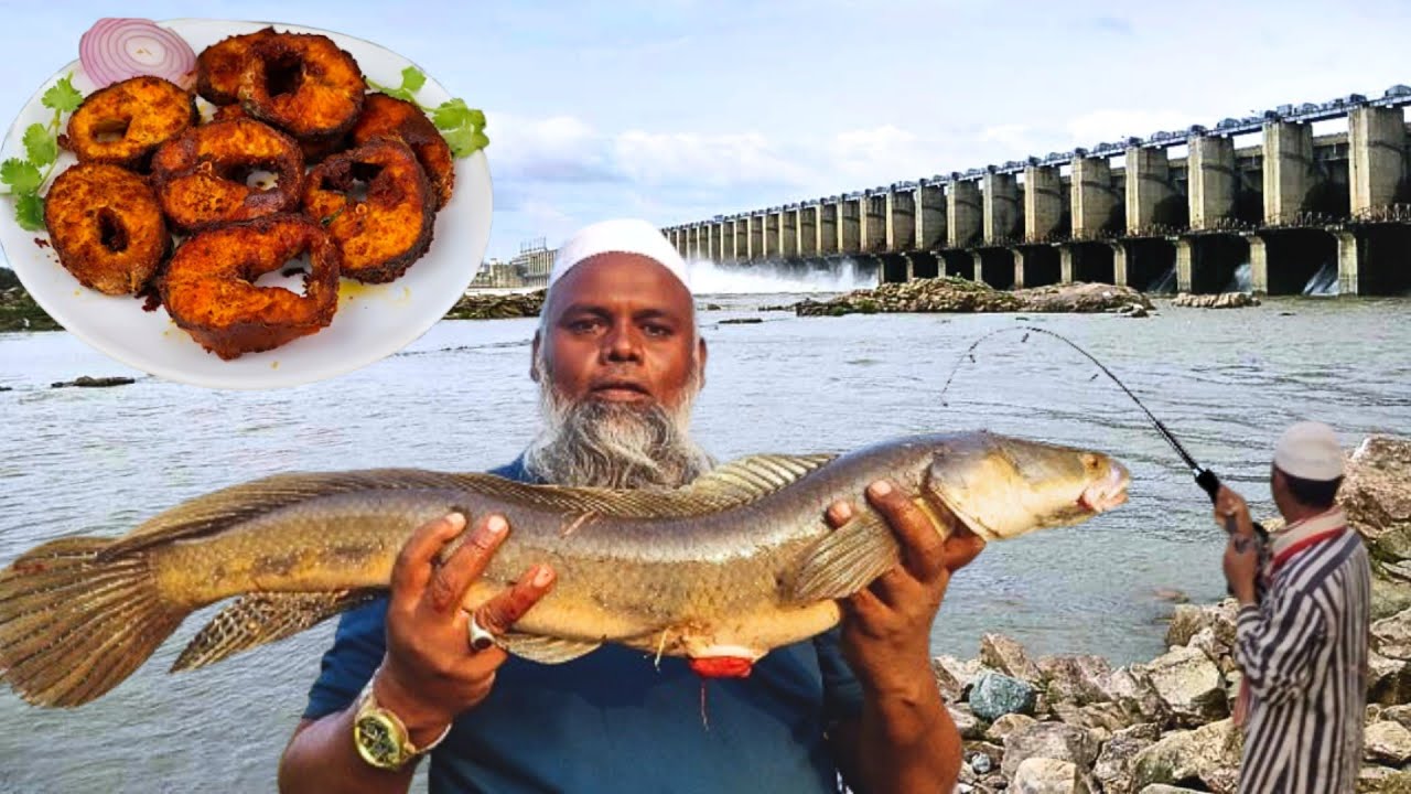 Big Size Snakehead Fishing & Cooking At Jurala dam | Snakehead Fishing and serving