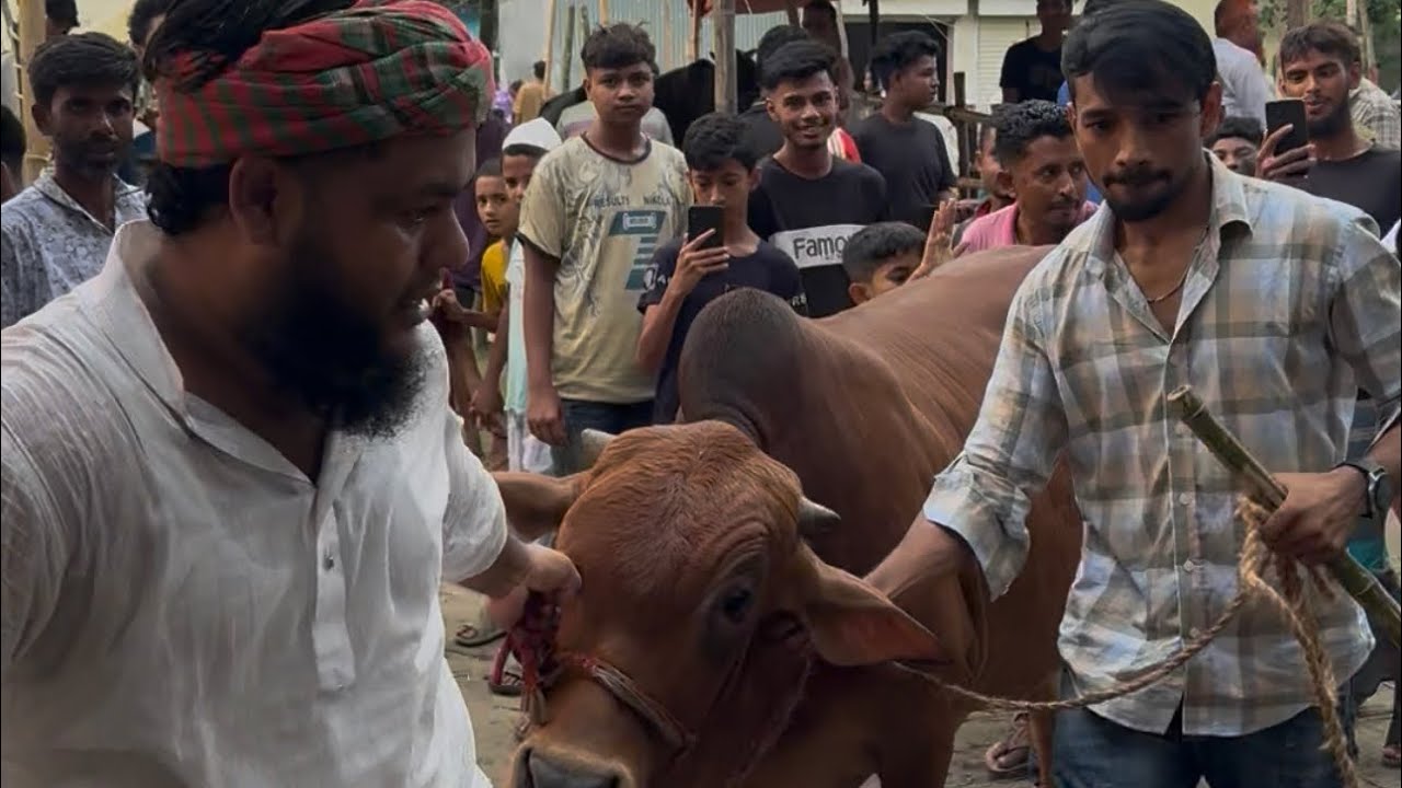 কোরবানীর ঈদের স্পেশাল ভিডিও 🐮 🐂