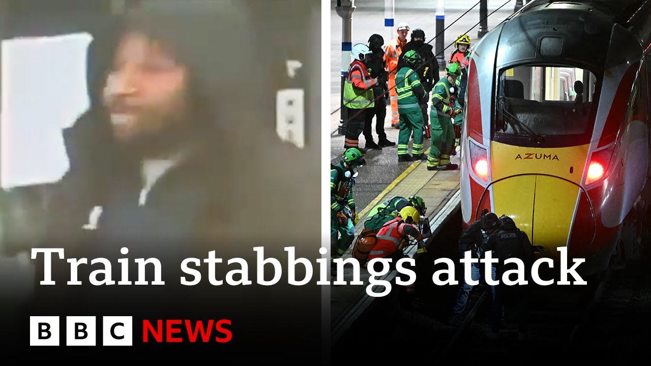 Cambridgeshire train stabbing suspect remanded in custody over attack | BBC News