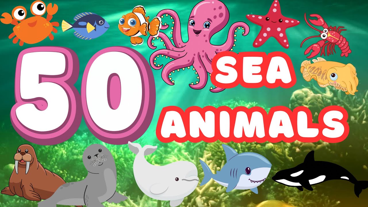Learn 50 Amazing Sea Animals for Kids! | Fun Ocean Animals Video