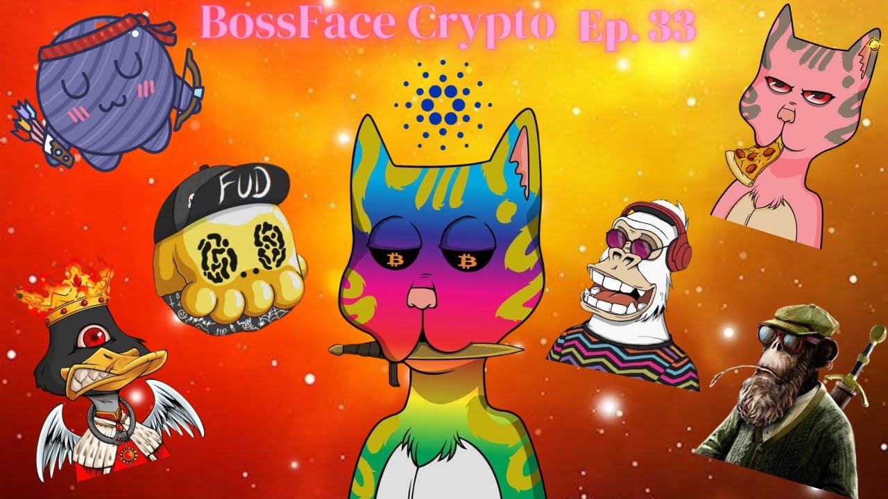Hows the NFT market, Goombles, FudHeadz, BCRC cross chain marketplace, TMO, TAS, ChilledKongs & MORE