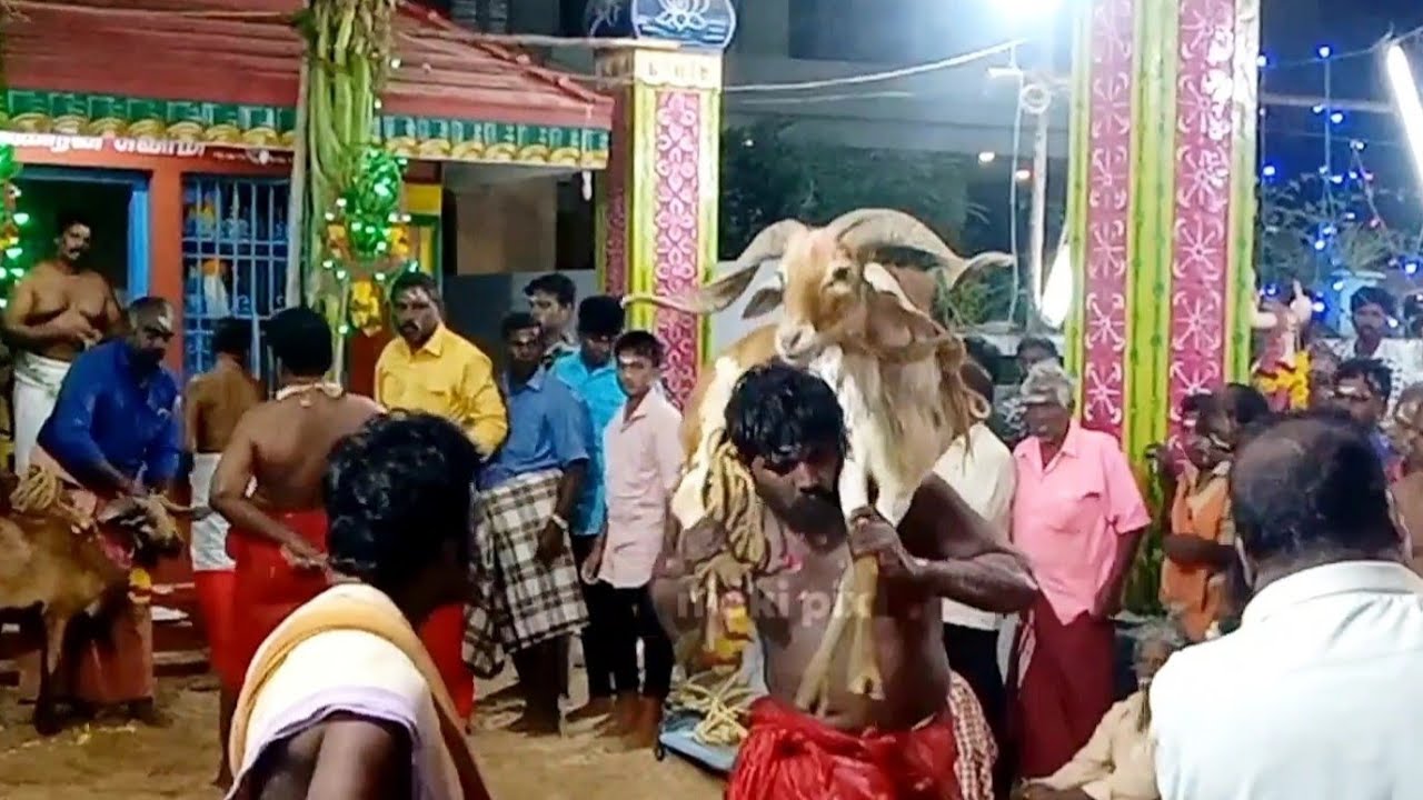 பலவேச சேர்வைக்கார சுவாமி - தெற்கு குண்டல்