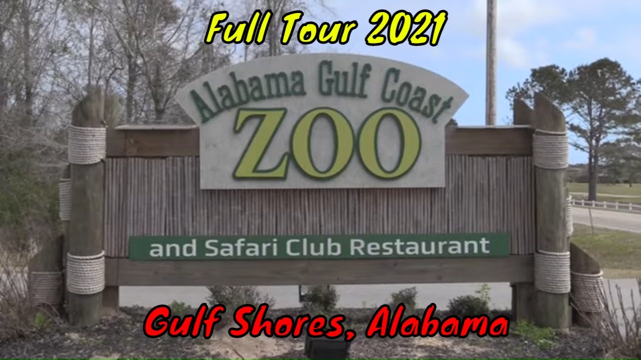 Alabama Gulf Coast Zoo Full Tour - Gulf Shores, Alabama