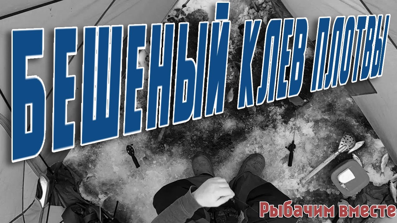Зимняя рыбалка 2021 в палатке . Бунинский залив. Ловля плотвы. Бешеный клев. Плотва.