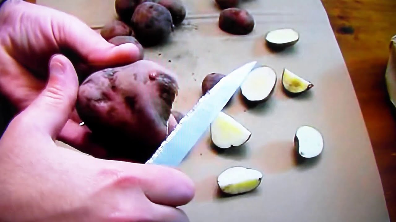 Aardappelveredeling #55 snijden pootaardappelen