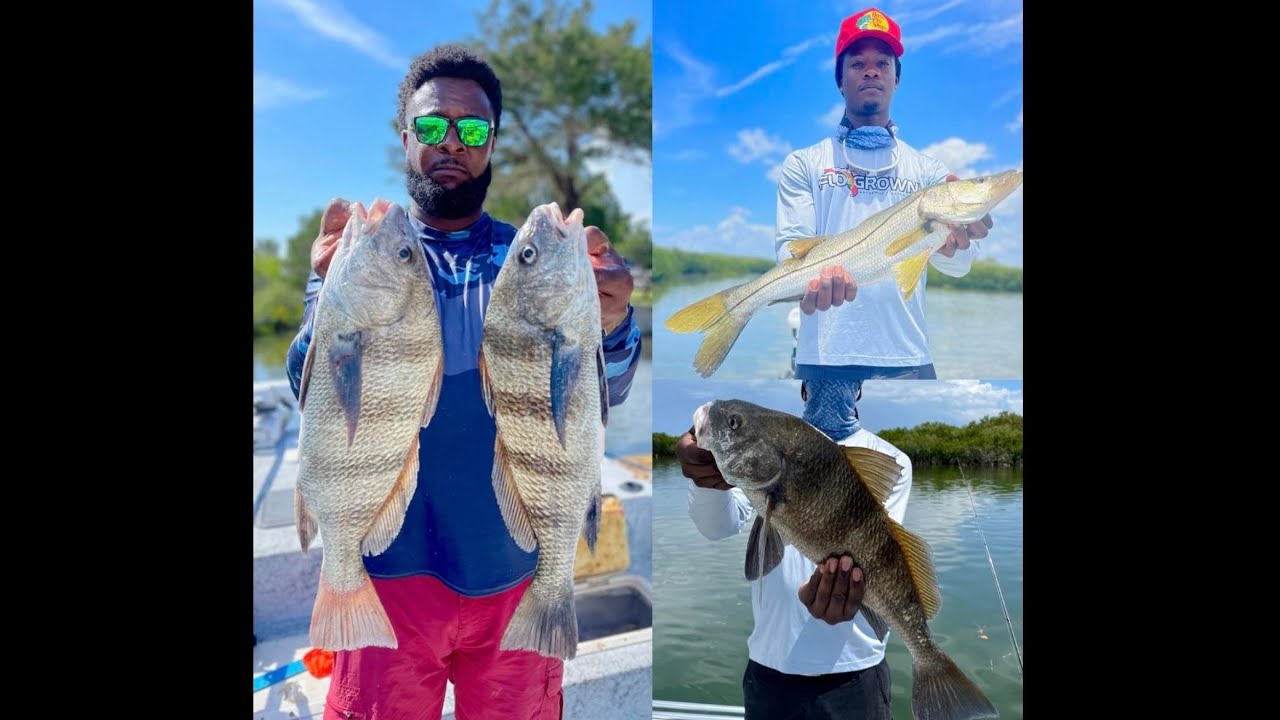 Река Кристал/Озелло. Рыбалка на окуня/морского окуня, затем на черного горбыля.