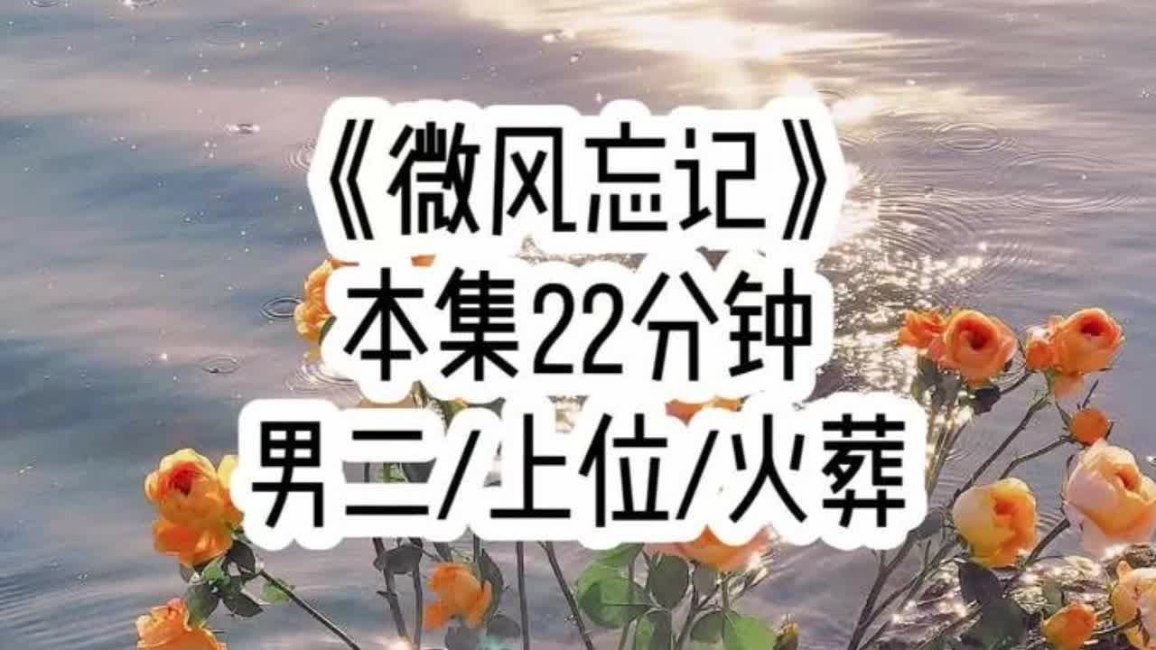 《微风忘记》🥚 我是路浔的助理，也是他的地下恋人，为了帮助他的青梅名正言顺地生下孩子，他找了顶尖的脑科学家让我暂时忘记了他，他举办了盛大的婚礼，青梅如愿怀孕，而我却再也想不起他了，后来我和别的男人